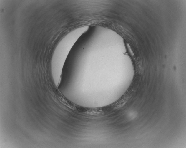 X0000080170756200612221250