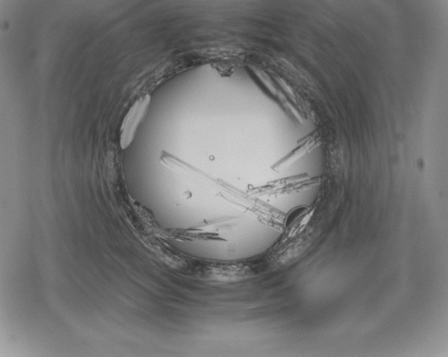 X0000080170757200612221250