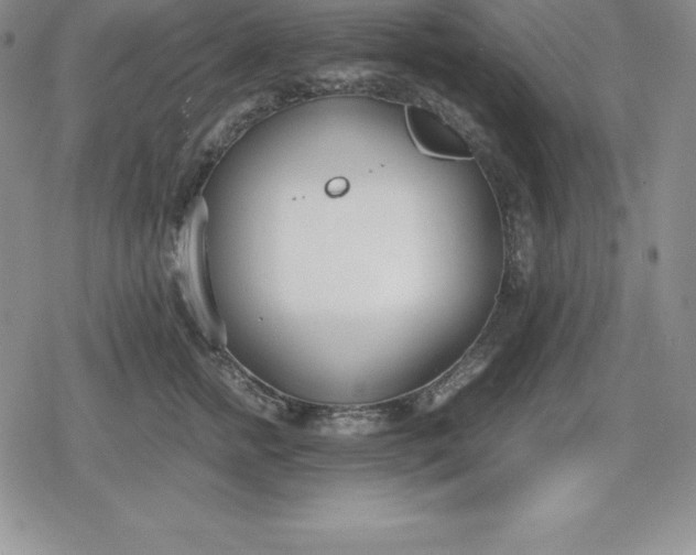 X0000080170758200612221250