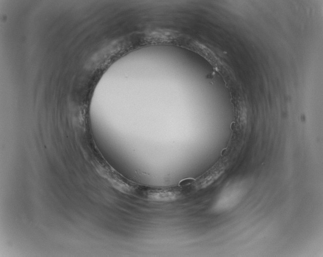 X0000080170759200612221250