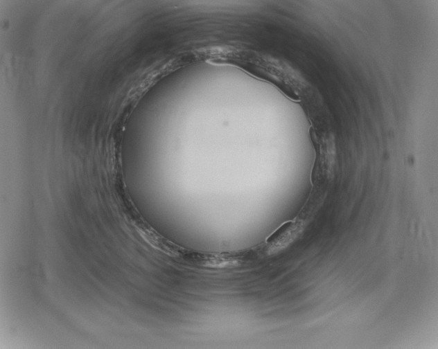 X0000080170760200612221250