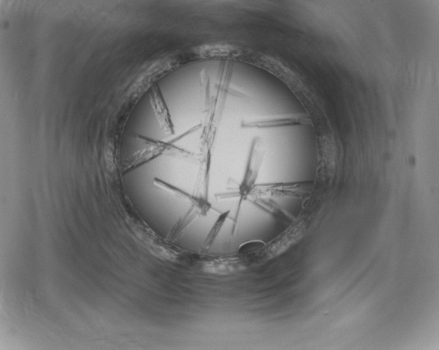 X0000080170761200612221250