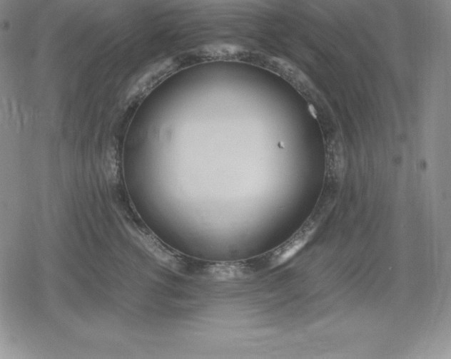 X0000080170762200612221250