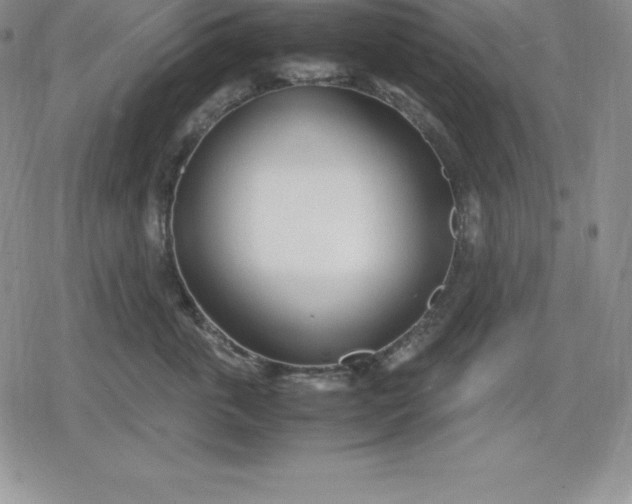 X0000080170763200612221251