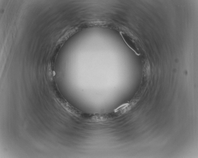 X0000080170764200612221251