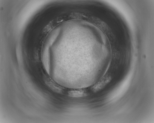 X0000080170765200612221251