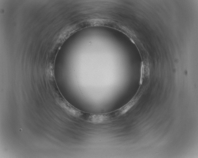 X0000080170766200612221251