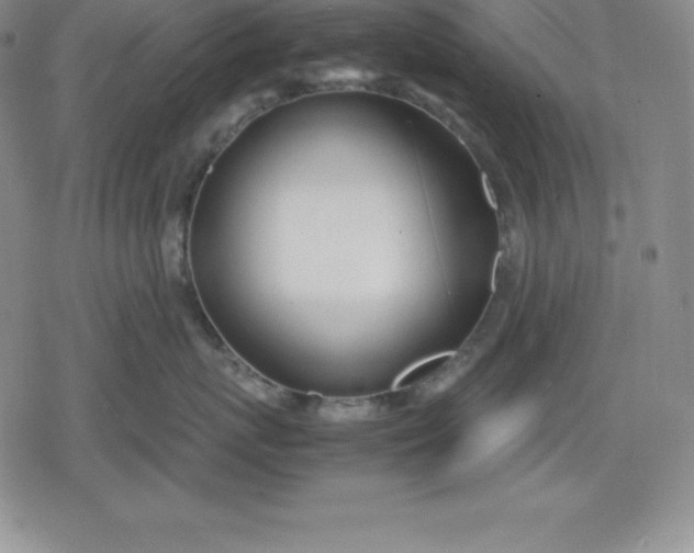 X0000080170767200612221251