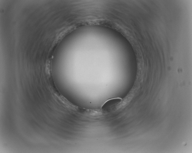 X0000080170768200612221251