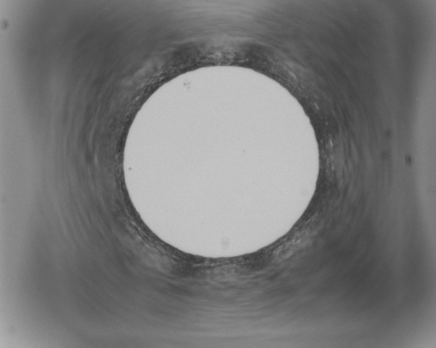 X0000080170769200612221250