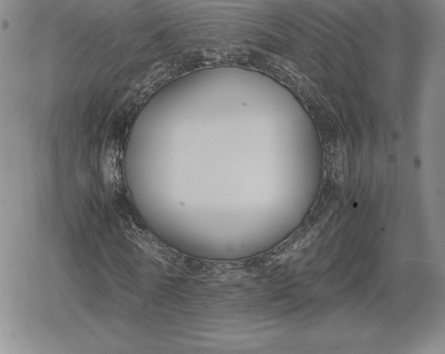 X0000080170770200612221250