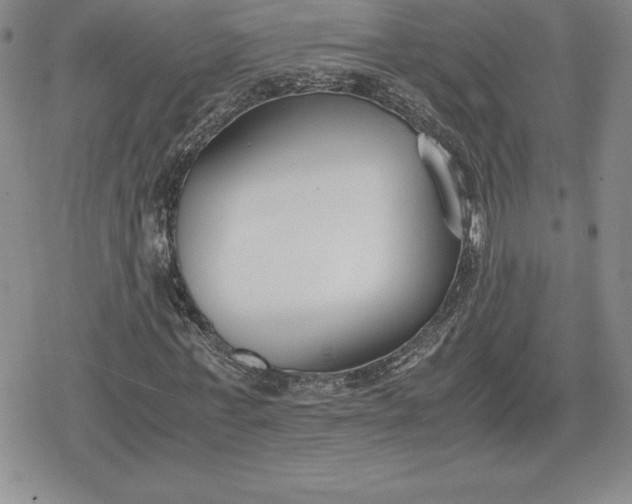 X0000080170771200612221250