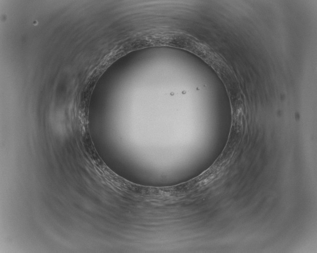 X0000080170772200612221250