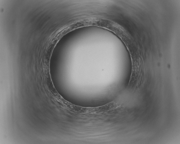 X0000080170773200612221250