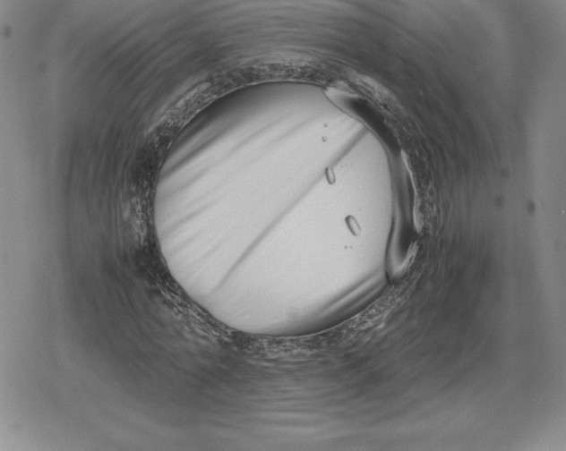 X0000080170774200612221250