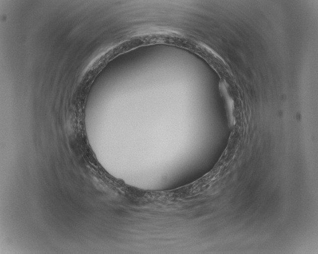 X0000080170775200612221250