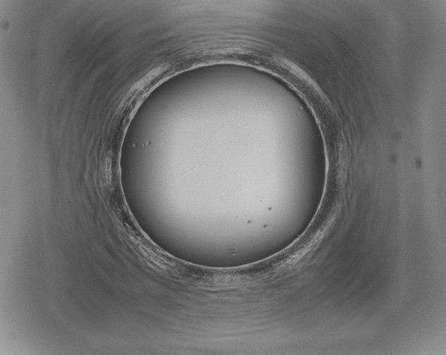 X0000080170777200612221250