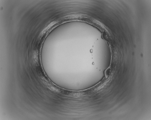 X0000080170778200612221250