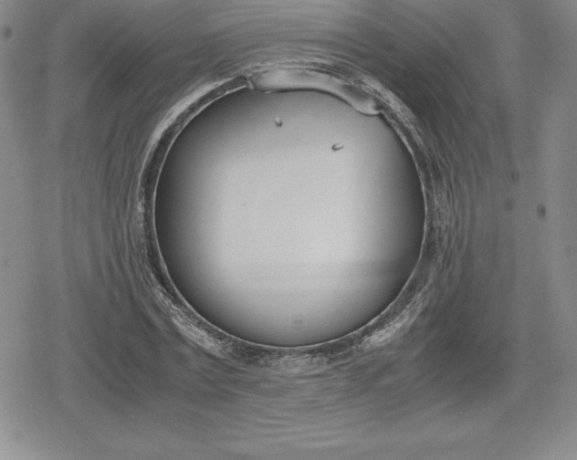 X0000080170779200612221250