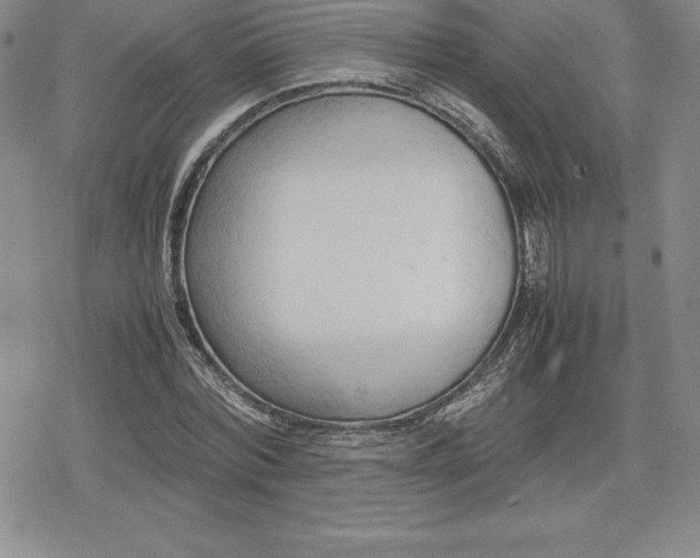 X0000080170780200612221250