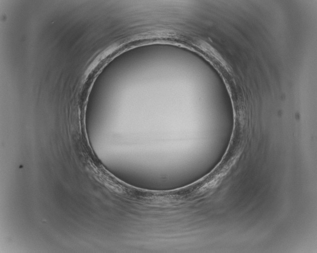 X0000080170781200612221250