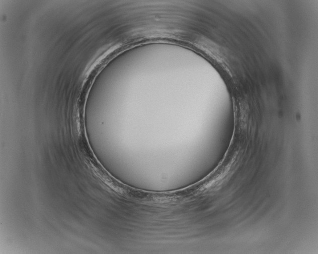 X0000080170782200612221250