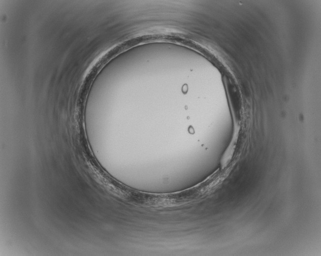 X0000080170783200612221250