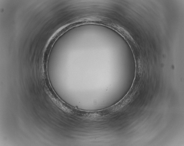 X0000080170784200612221250