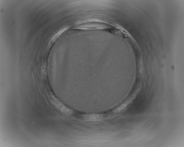 X0000080170785200612221250