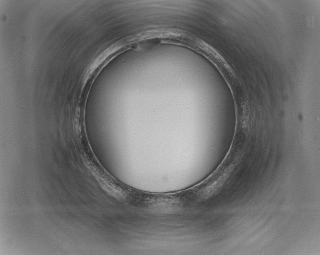 X0000080170786200612221250