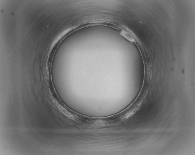 X0000080170787200612221250