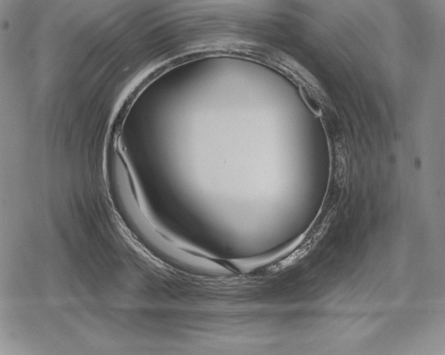 X0000080170788200612221250