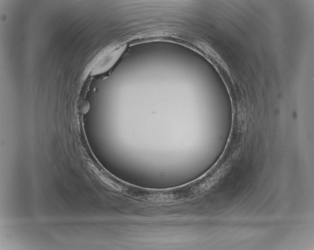 X0000080170789200612221249