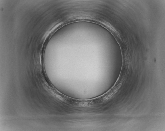 X0000080170790200612221249