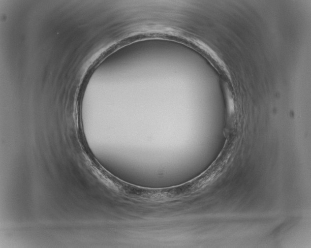 X0000080170791200612221249