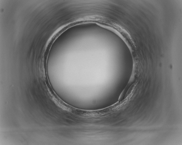 X0000080170792200612221249