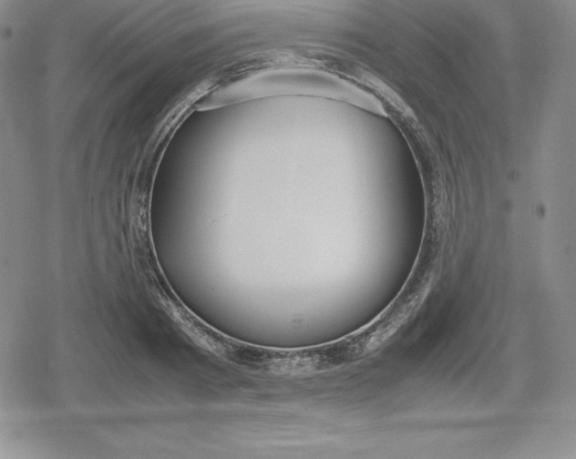 X0000080170793200612221249