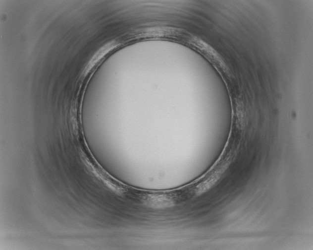 X0000080170794200612221249