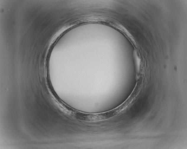 X0000080170795200612221249