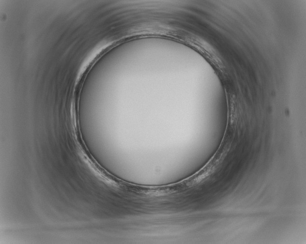 X0000080170796200612221249