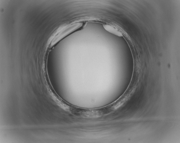 X0000080170797200612221249