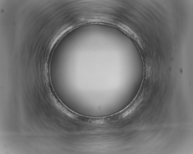 X0000080170798200612221249