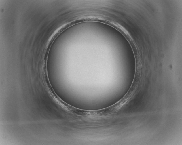 X0000080170799200612221249