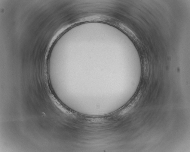 X0000080170800200612221249