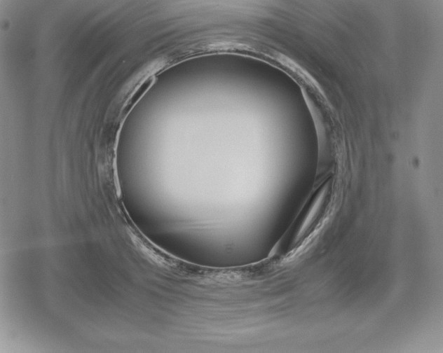 X0000080170801200612221249