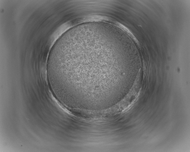 X0000080170802200612221249