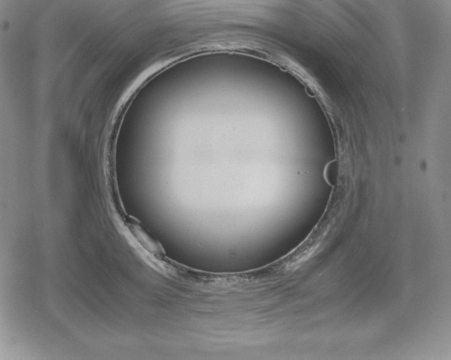 X0000080170803200612221249