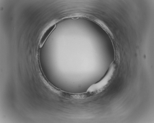 X0000080170805200612221249