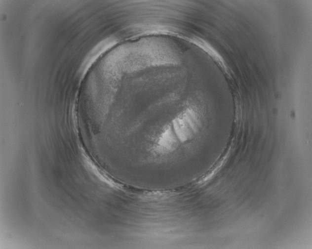 X0000080170806200612221249