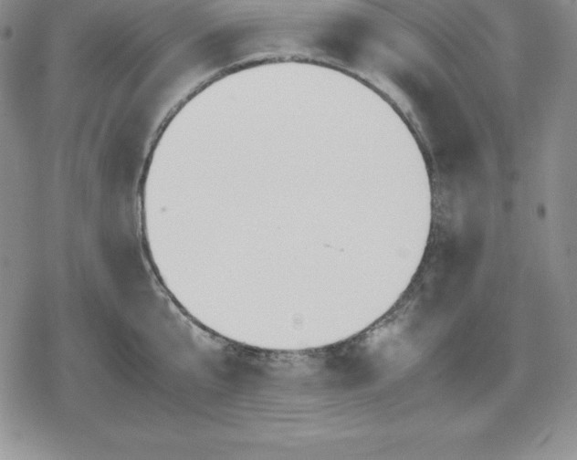 X0000080170807200612221249